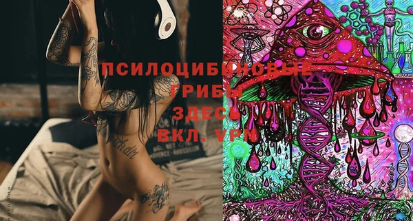 тгк Алексеевка