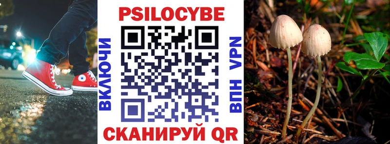 Галлюциногенные грибы MAGIC MUSHROOMS  ссылка на мегу как войти  Ахтырский 